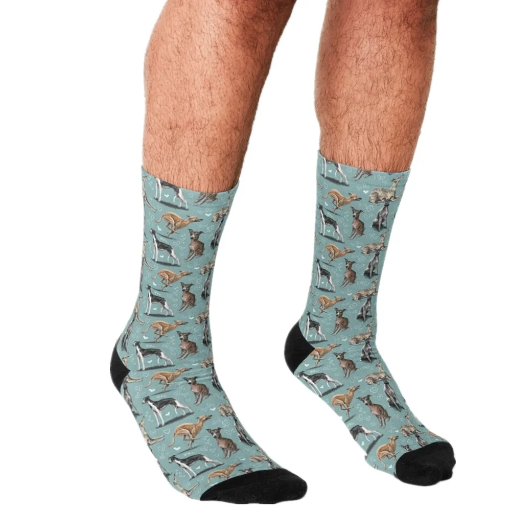 2021 Funny Socks Men harajuku Tropical Leaf Refreshing Socks Printed Happy hip hop Novelty Skateboard Crew Casual Crazy Socks
2021 Funny Socks Men harajuku Tropical Leaf Refreshing Socks Printed Happy hip hop Novelty Skateboard Crew Casual Crazy Socks
