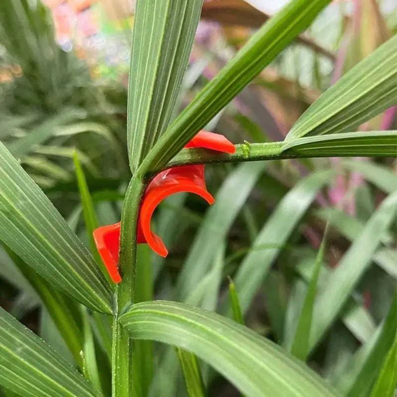 5Pcs 90 Degree Plant Bender for Low Stress Training Plant Training Curved Plant Holder DropShipping
5Pcs 90 Degree Plant Bender for Low Stress Training Plant Training Curved Plant Holder DropShipping