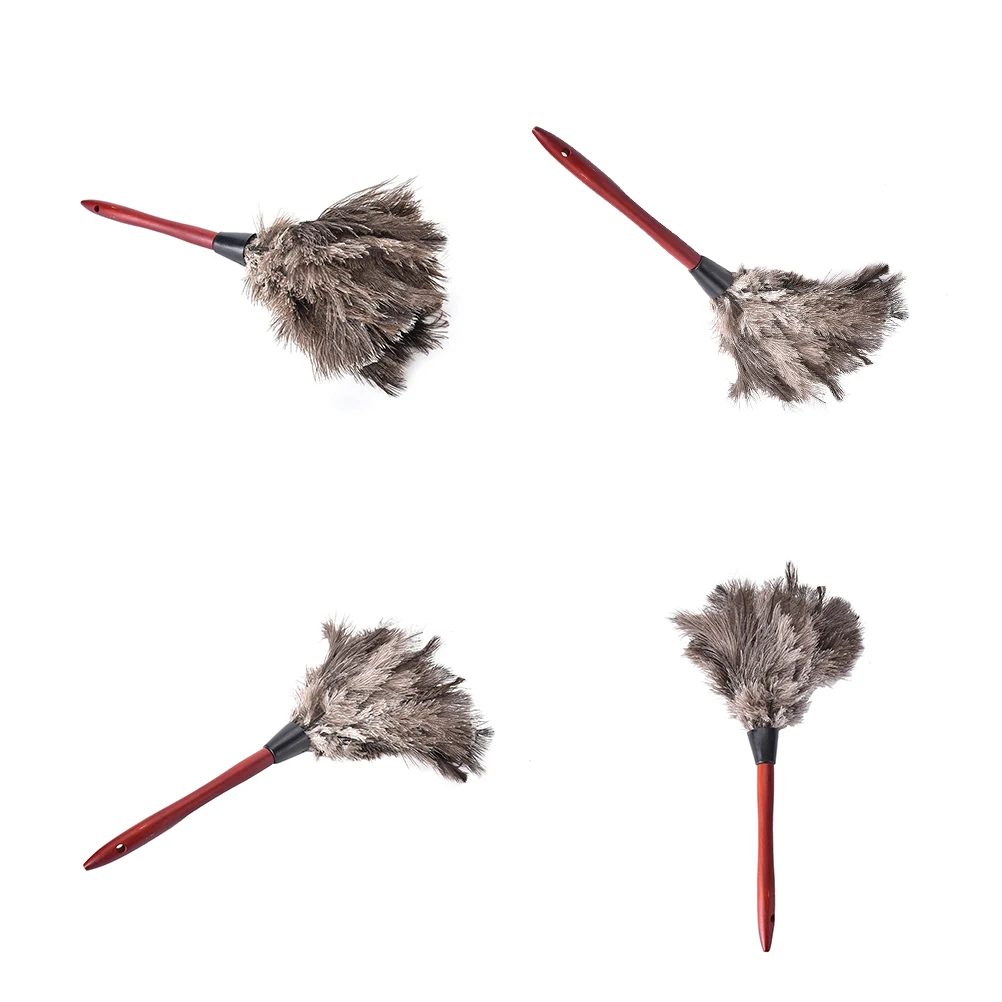 55cm Ostrich Feather Duster Brush Wood Handle Anti-static Natural Grey Fur Home
55cm Ostrich Feather Duster Brush Wood Handle Anti-static Natural Grey Fur Home