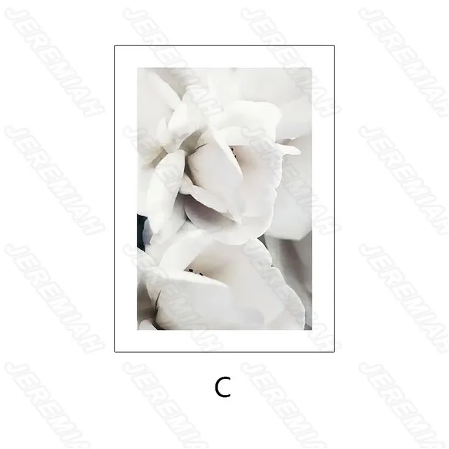 Flower Letter Plant Landscape Poster Nordic Style Wall Canvas Canvas Print Painting Now Living Room Decoration
Flower Letter Plant Landscape Poster Nordic Style Wall Canvas Canvas Print Painting Now Living Room Decoration