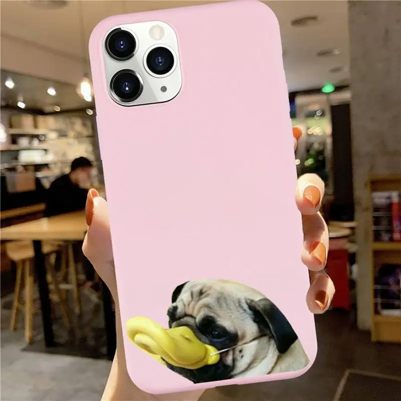 funny bulldog Cute animal art luxury Phone Case funda Candy Color for iPhone 6 7 8 11 12 s mini pro X XS XR MAX Plus
funny bulldog Cute animal art luxury Phone Case funda Candy Color for iPhone 6 7 8 11 12 s mini pro X XS XR MAX Plus