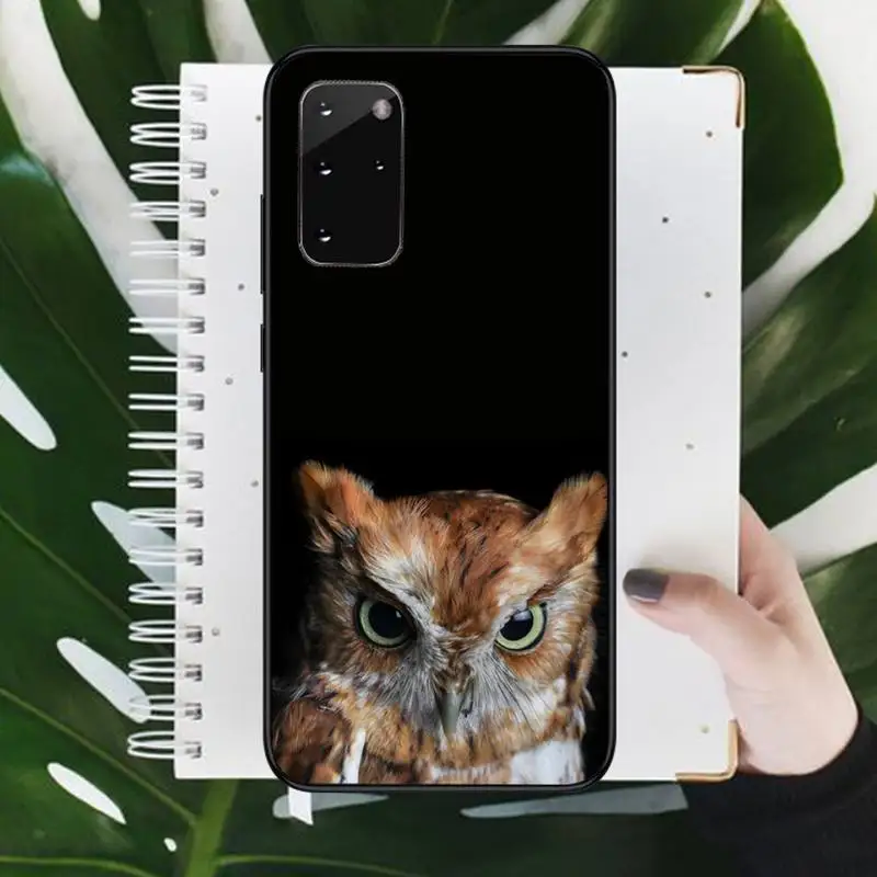 Owl night animal birds funny Phone Case For Samsung galaxy S 7 8 9 10 20 edge A 6 10 20 30 50 51 70 note 10 plus
Owl night animal birds funny Phone Case For Samsung galaxy S 7 8 9 10 20 edge A 6 10 20 30 50 51 70 note 10 plus