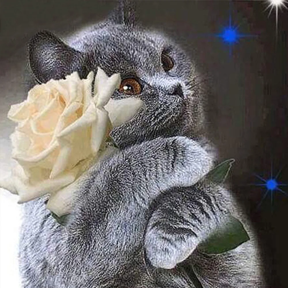 Animal Cat Cross Stitch 11CT Embroidery Kits Needlework Craft Printed Canvas Cotton Thread Home Decoration On Sale Dropshipping
Animal Cat Cross Stitch 11CT Embroidery Kits Needlework Craft Printed Canvas Cotton Thread Home Decoration On Sale Dropshipping