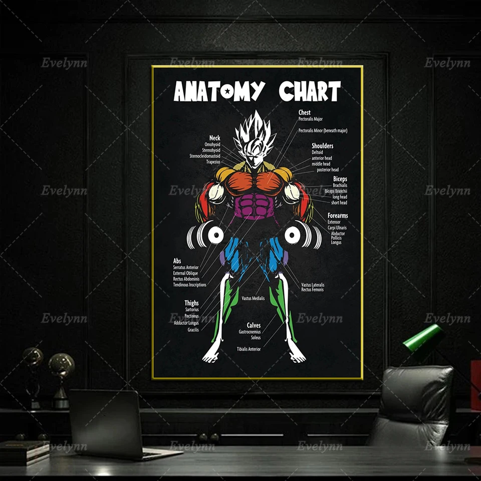 Anime DragonBall Goku Muscle Chart Diagram Workout Canvas Posters Home Decor Painting Modern Living Room Wall Art Print Picture 
Anime DragonBall Goku Muscle Chart Diagram Workout Canvas Posters Home Decor Painting Modern Living Room Wall Art Print Picture