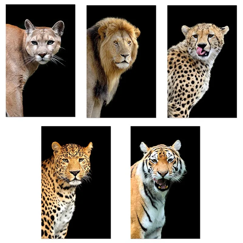 5D DIY Lion Leopard Tiger Wild Animal Diamond Painting Cross Stitch Room Picture of Rhinestone Embroidery Home Decor Art
5D DIY Lion Leopard Tiger Wild Animal Diamond Painting Cross Stitch Room Picture of Rhinestone Embroidery Home Decor Art