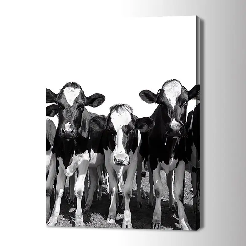 Cow Posters on The Ranch Wall Art Behind The Curtain Canvas Paintings Cuadros Wall Art Pictures for Home Decor
Cow Posters on The Ranch Wall Art Behind The Curtain Canvas Paintings Cuadros Wall Art Pictures for Home Decor
