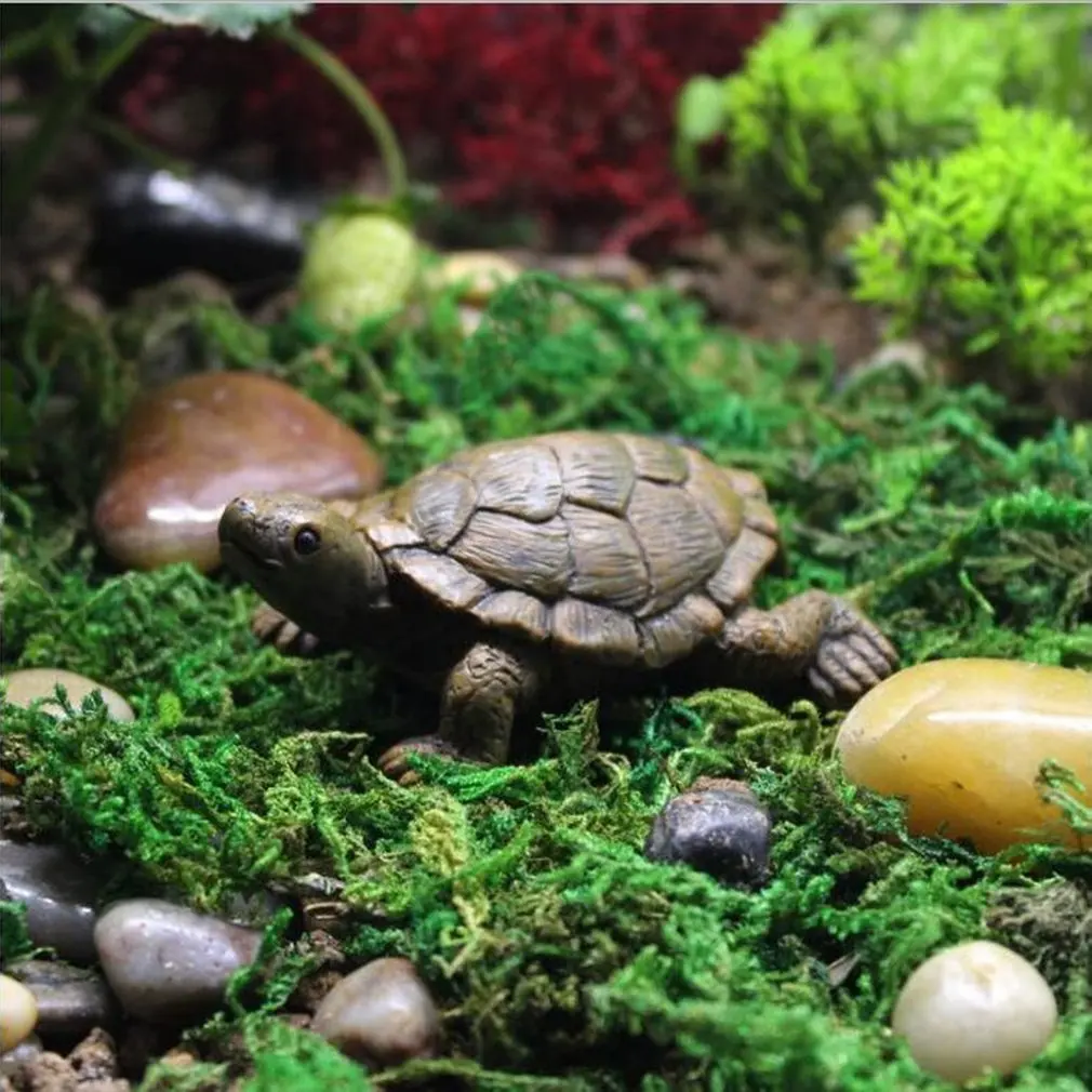 Tortoise Figurines Model Statues Garden Lawn Outdoor Bonsai Decor Resin Frog Home Garden Decor Landscape Decoration
Tortoise Figurines Model Statues Garden Lawn Outdoor Bonsai Decor Resin Frog Home Garden Decor Landscape Decoration