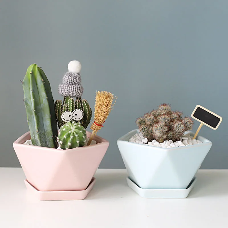 Korean Ins Creative Geometric Pentagonal Ceramic Flower Pot Succulent Planting Pot Fairy Garden Ornament Home Office Decoration
Korean Ins Creative Geometric Pentagonal Ceramic Flower Pot Succulent Planting Pot Fairy Garden Ornament Home Office Decoration