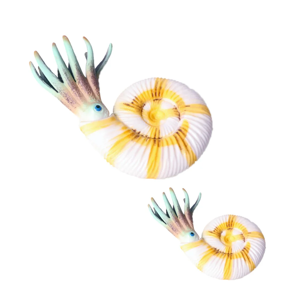 Delicate Marine Animal Model Simulation Nautilus Hand Model for Children Size Nautilus
Delicate Marine Animal Model Simulation Nautilus Hand Model for Children Size Nautilus