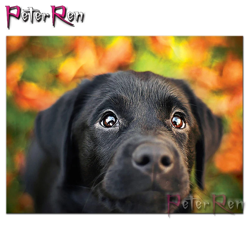 5D DIY Diamond Painting Cute Dog Full Square/Round Diamond Embroidery Pet puppy Pattern Sale Mosaic Picture of Rhinestones gift
5D DIY Diamond Painting Cute Dog Full Square/Round Diamond Embroidery Pet puppy Pattern Sale Mosaic Picture of Rhinestones gift