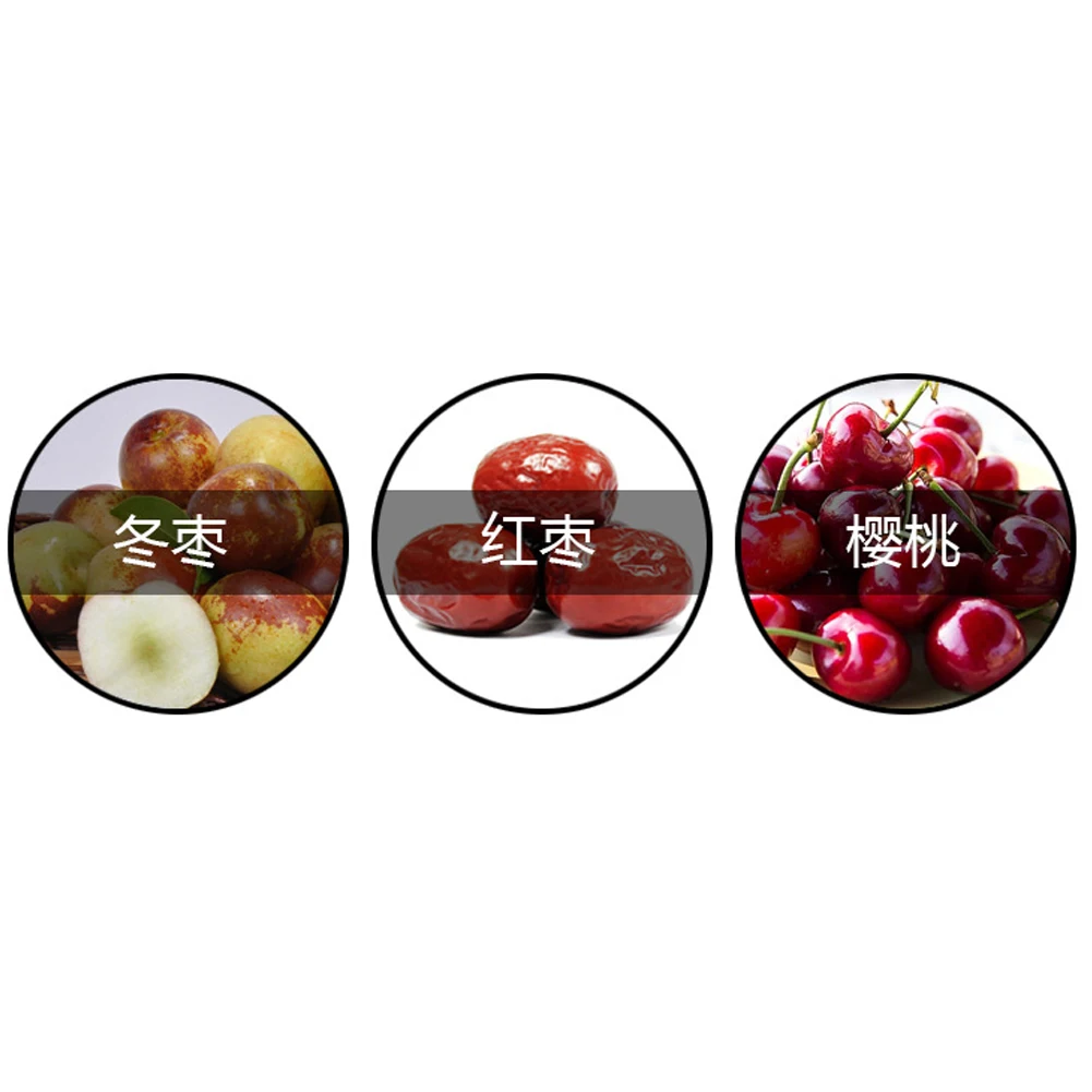 stainless steel nuclear cherry olive stones squeeze grip to seed removal device to remove the core of nuclear.
stainless steel nuclear cherry olive stones squeeze grip to seed removal device to remove the core of nuclear.