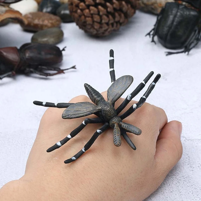 8pcs/12pcs Simulation Static Insect Model Ornaments Set Realistic Butterfly Child Educational Prop Scene Decor Kids Toy
8pcs/12pcs Simulation Static Insect Model Ornaments Set Realistic Butterfly Child Educational Prop Scene Decor Kids Toy