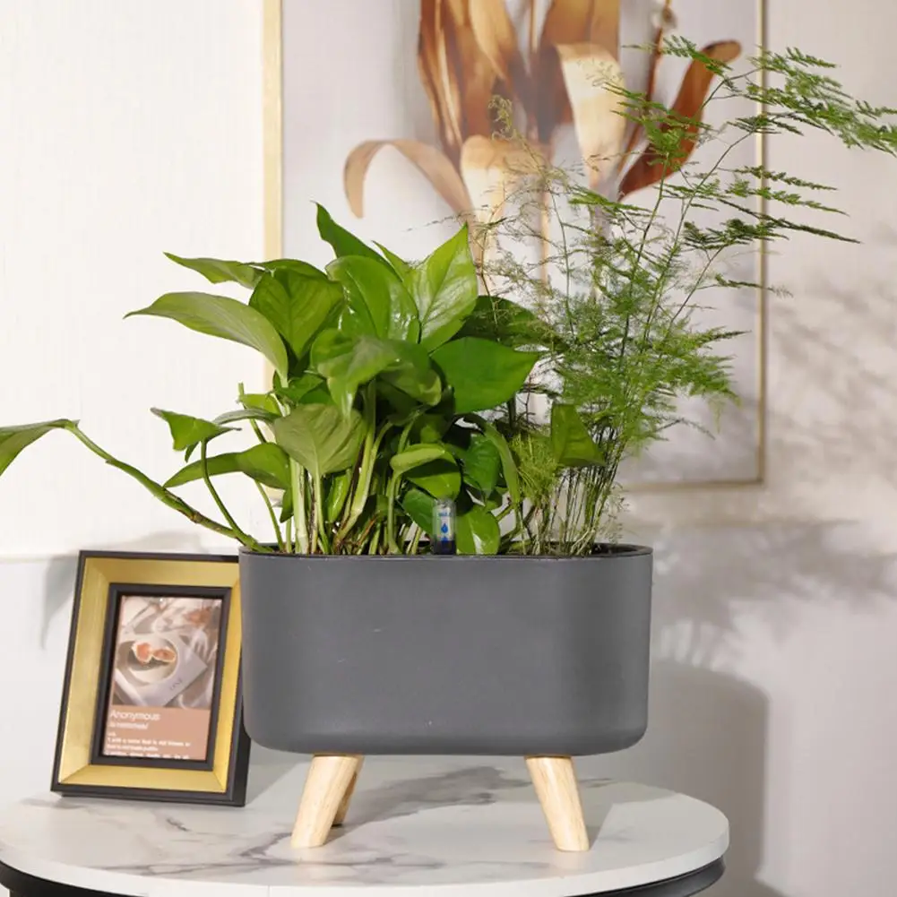 Self Watering Flowerpot Automatic Water Absorption Storage Planter Pot with Stand Succulent Planter Pot
Self Watering Flowerpot Automatic Water Absorption Storage Planter Pot with Stand Succulent Planter Pot