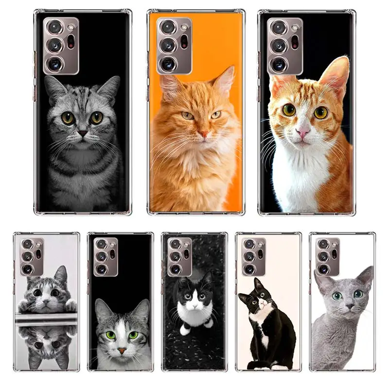 Cute Animal Cat Phone Case Coque For Samsung Galaxy Note 20 Ultra Note 10 Plus 8 9 F52 F62 M31S M30S M51 M11 Cover Funda Capa
Cute Animal Cat Phone Case Coque For Samsung Galaxy Note 20 Ultra Note 10 Plus 8 9 F52 F62 M31S M30S M51 M11 Cover Funda Capa