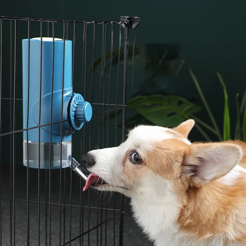 Dog hanging water bottle not wet mouth magic pot water feeder hanging cage pet supplies cat water dispenser
Dog hanging water bottle not wet mouth magic pot water feeder hanging cage pet supplies cat water dispenser