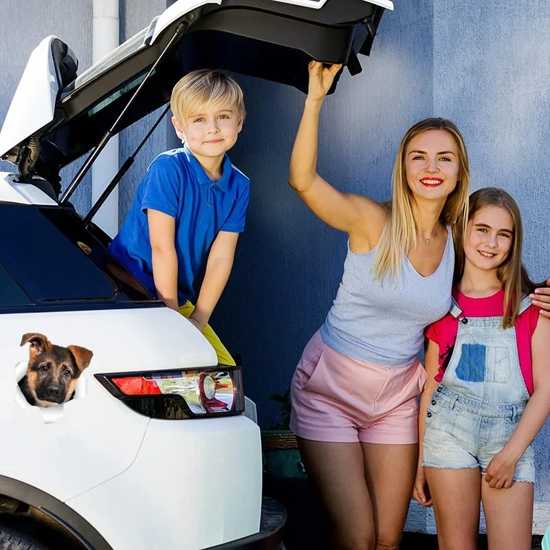 Three Ratels QD2 cute 3D torn metal design German Shepherd dog car body sticker
Three Ratels QD2 cute 3D torn metal design German Shepherd dog car body sticker