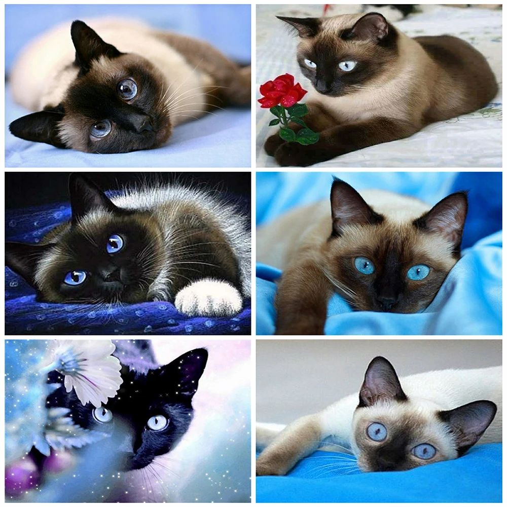 Картина из квадратных страз 5D «сделай сам», наборы для вышивки крестиком с изображением кошки, алмазная вышивка с животными, мозаика из стра...
Картина из квадратных страз 5D «сделай сам», наборы для вышивки крестиком с изображением кошки, алмазная вышивка с животными, мозаика из стра...