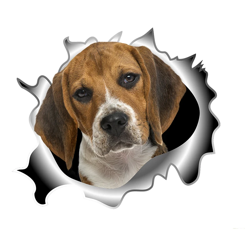 Dogs Are Man's Most Loyal Friends. for Dog Lovers, and Of Course There Are Also Waterproof Dogs Stickers That Cover Scratches.
Dogs Are Man's Most Loyal Friends. for Dog Lovers, and Of Course There Are Also Waterproof Dogs Stickers That Cover Scratches.