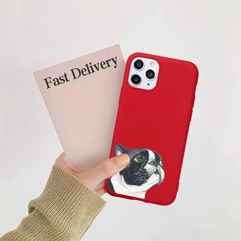Dog French Bulldog Phone Case Red Candy Color for iPhone 11 12 mini pro XS MAX 8 7 6 6S Plus X SE 2020 XR
Dog French Bulldog Phone Case Red Candy Color for iPhone 11 12 mini pro XS MAX 8 7 6 6S Plus X SE 2020 XR