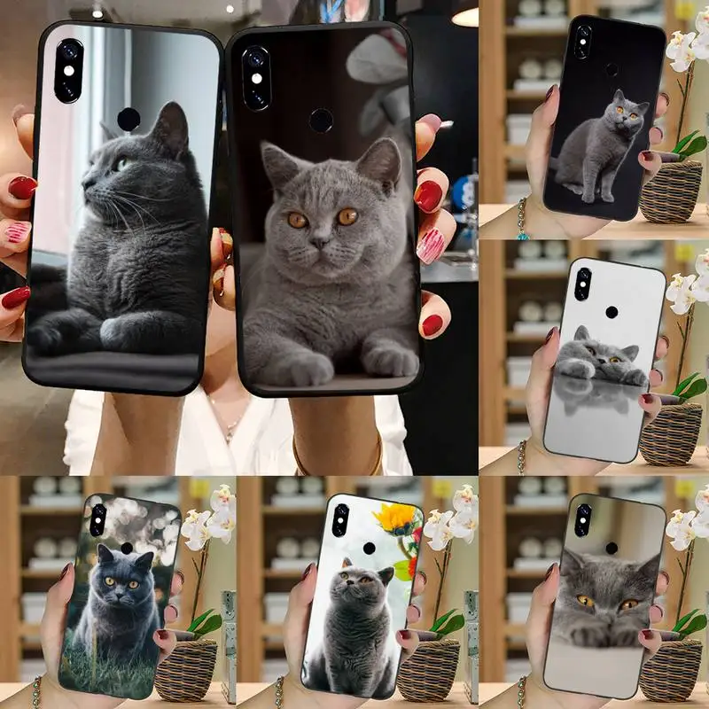 British Shorthair cat cute animal Phone Case For Xiaomi Redmi note 7 8 9 11 t s 10 A pro lite funda shell coque cover
British Shorthair cat cute animal Phone Case For Xiaomi Redmi note 7 8 9 11 t s 10 A pro lite funda shell coque cover