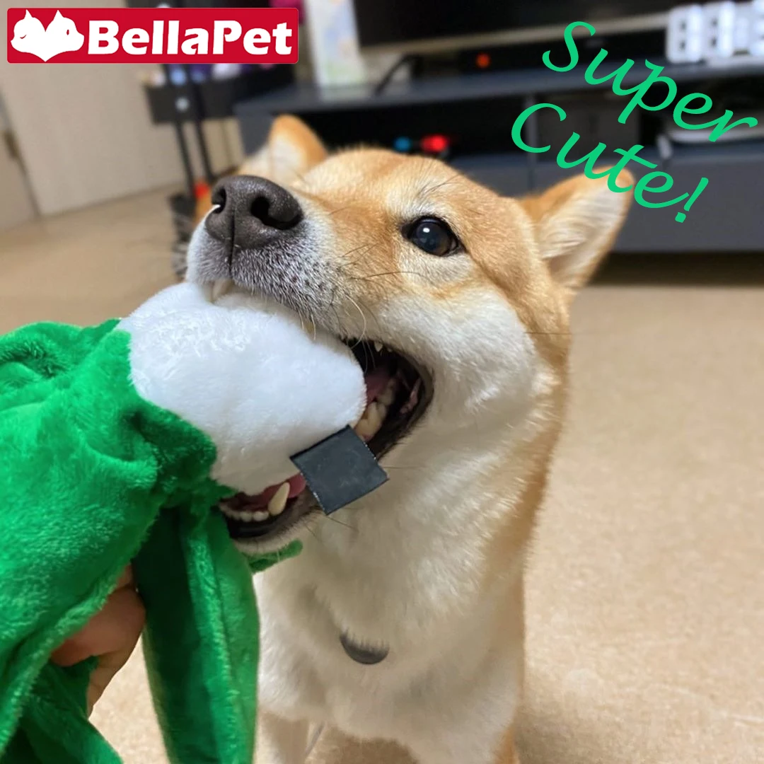 Игрушка-пищалка для маленьких и больших собак, Интерактивная игрушка в Корейском стиле для агрессивных жевательных собак, аксессуары для ф...
Игрушка-пищалка для маленьких и больших собак, Интерактивная игрушка в Корейском стиле для агрессивных жевательных собак, аксессуары для ф...