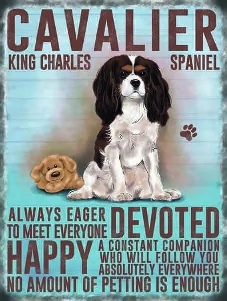 Cavalier King Charles Spaniel Dog Animal Metal Sign Tin Plaque Print Picture
Cavalier King Charles Spaniel Dog Animal Metal Sign Tin Plaque Print Picture