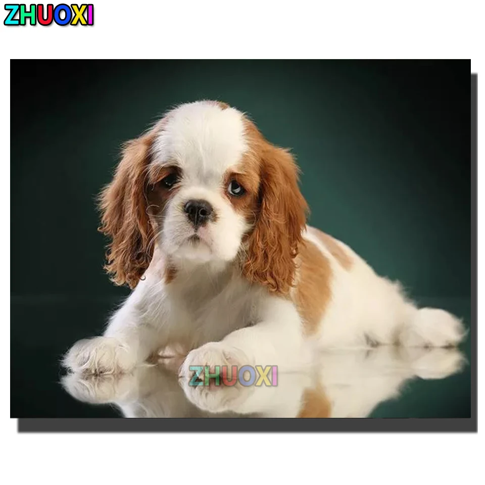 5D DIY Diamond Embroidery Cavalier King Charles Spaniel Full Diamond Painting Square Round Diamond mosaic Decorative Mural Art
5D DIY Diamond Embroidery Cavalier King Charles Spaniel Full Diamond Painting Square Round Diamond mosaic Decorative Mural Art