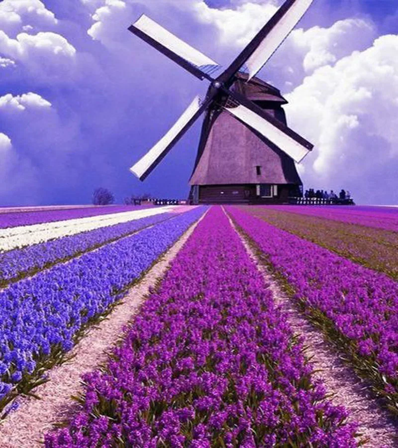 5D DIY Diamond Painting Landscape Windmill Crystal Diamond Embroidery Mosaic Decoration Home Decoration Handmade Gifts
5D DIY Diamond Painting Landscape Windmill Crystal Diamond Embroidery Mosaic Decoration Home Decoration Handmade Gifts