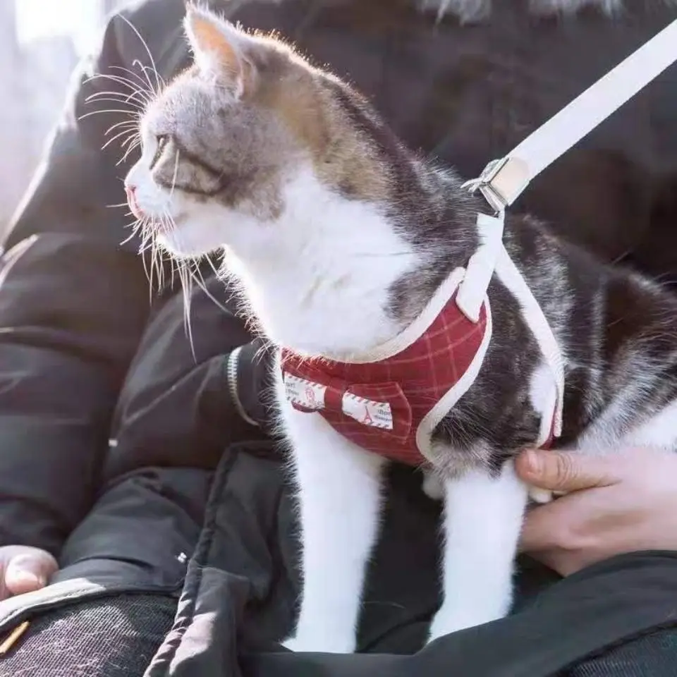 Fashion Plaid Leash for Cats Summer Funny Vest Harness and Leash Leash Set Kitty for Pet Accessories
Fashion Plaid Leash for Cats Summer Funny Vest Harness and Leash Leash Set Kitty for Pet Accessories