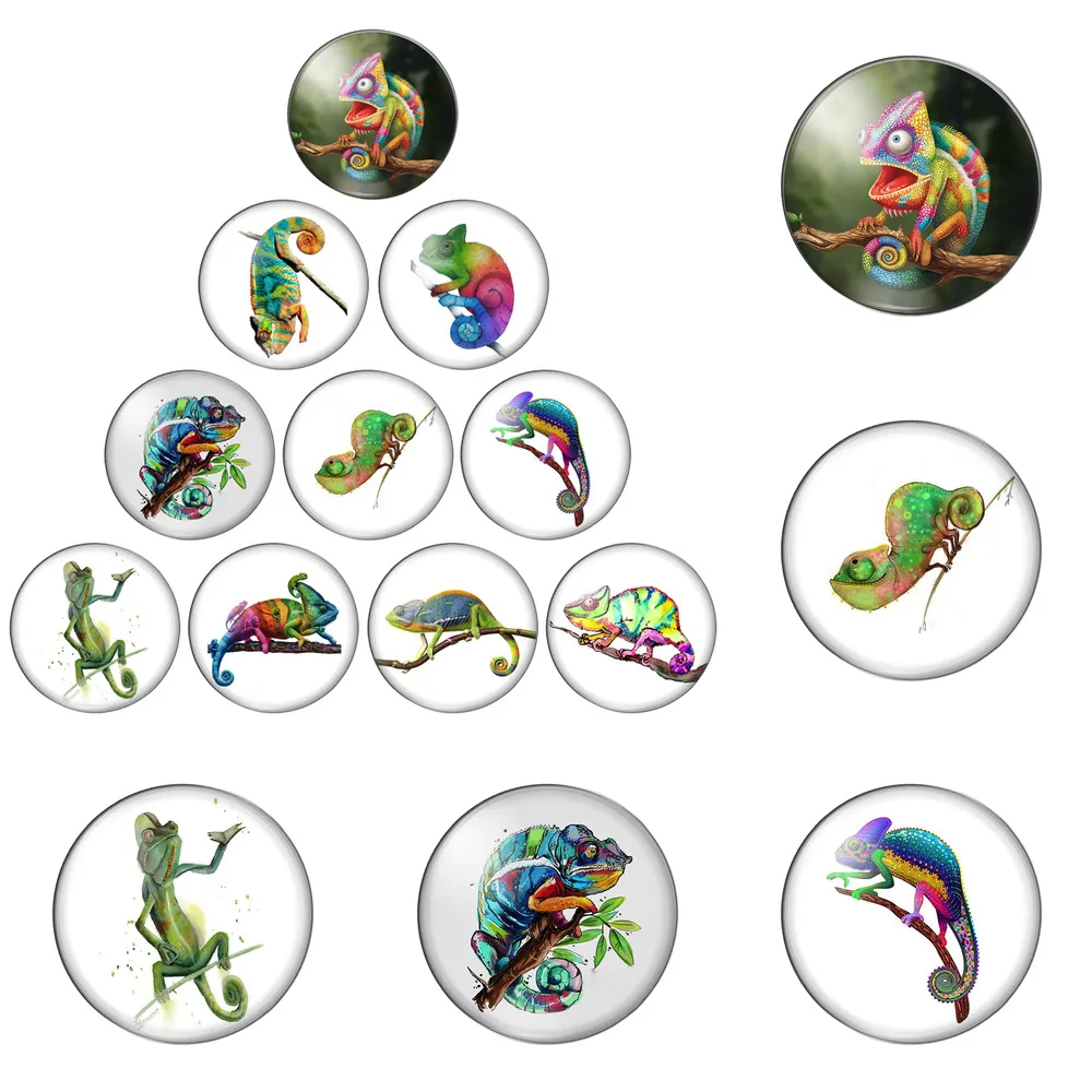 12pcs/lot New Reptiles Chameleon Cartoon Lizard 8mm-30mm Round Photo Glass Cabochon Demo Flat Back Making Findings
12pcs/lot New Reptiles Chameleon Cartoon Lizard 8mm-30mm Round Photo Glass Cabochon Demo Flat Back Making Findings