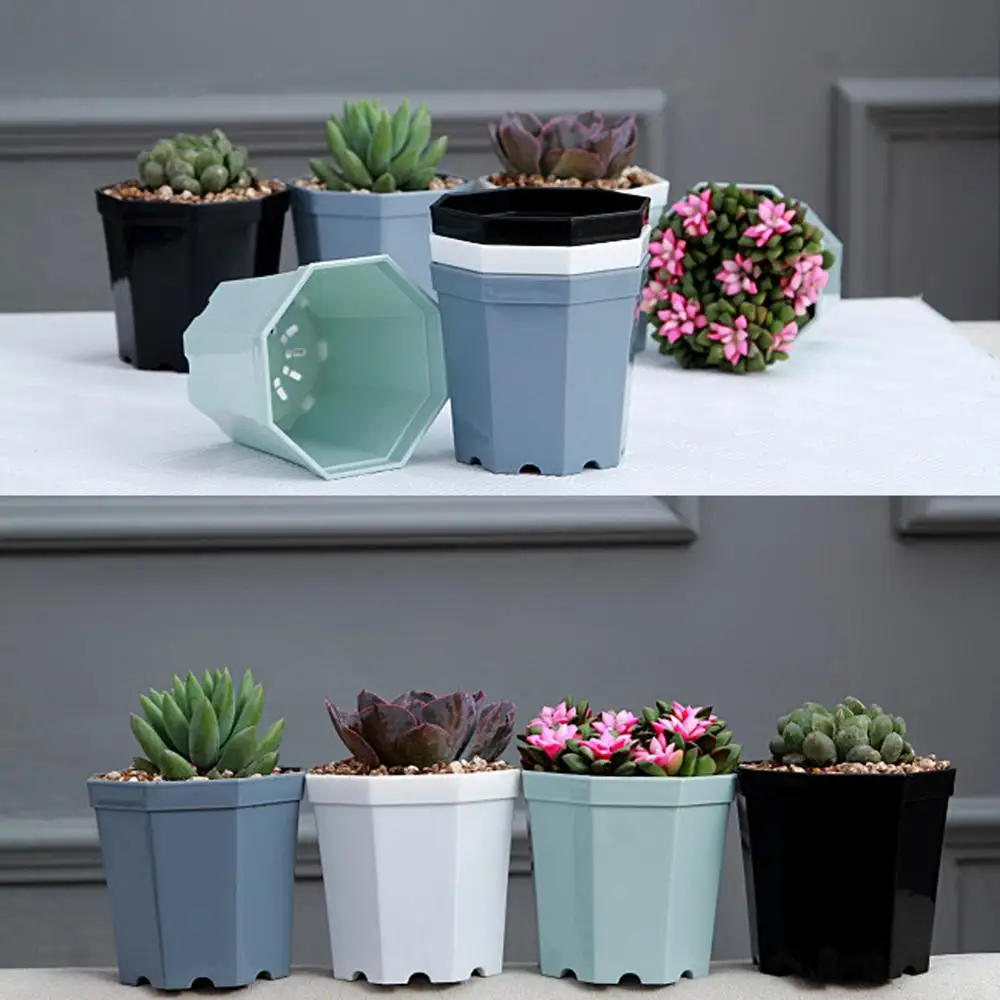 4 Pieces Modern Plastic Octagon Flower Pot Home Garden Office Desk Succulent Plant Pot Matt Glossy Garden Decoration Pots
4 Pieces Modern Plastic Octagon Flower Pot Home Garden Office Desk Succulent Plant Pot Matt Glossy Garden Decoration Pots