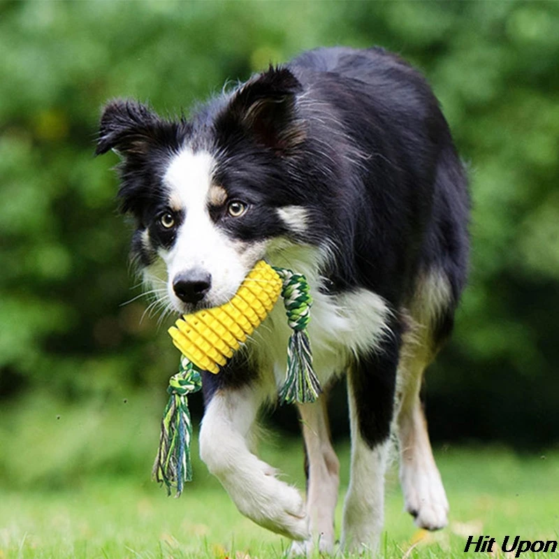 2021 Dog Molar Stick Puppy Toys Dog Corn Molar Stick Bite Teeth Brush Labrador Toys with Rope Pet Supply Dog Toy 
2021 Dog Molar Stick Puppy Toys Dog Corn Molar Stick Bite Teeth Brush Labrador Toys with Rope Pet Supply Dog Toy