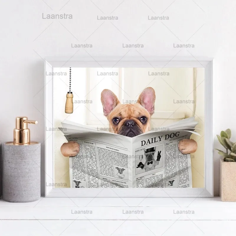 French Bulldog Dog Sitting On Toilet and Reading Magazine Canvas Art Poster Print Funny Art Painting Picture Bathroom Wall Decor
French Bulldog Dog Sitting On Toilet and Reading Magazine Canvas Art Poster Print Funny Art Painting Picture Bathroom Wall Decor