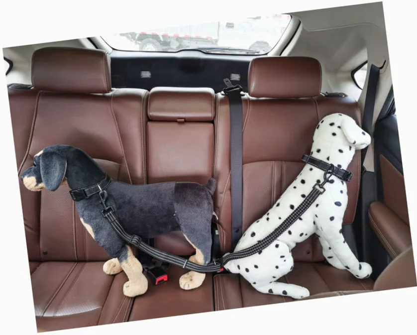 Dog Seat Belt Double ended Adjustable Pet Cat Car Safety Belt Nylon Vehicle Seatbelt Harness for Small Medium Large Dog
Dog Seat Belt Double ended Adjustable Pet Cat Car Safety Belt Nylon Vehicle Seatbelt Harness for Small Medium Large Dog