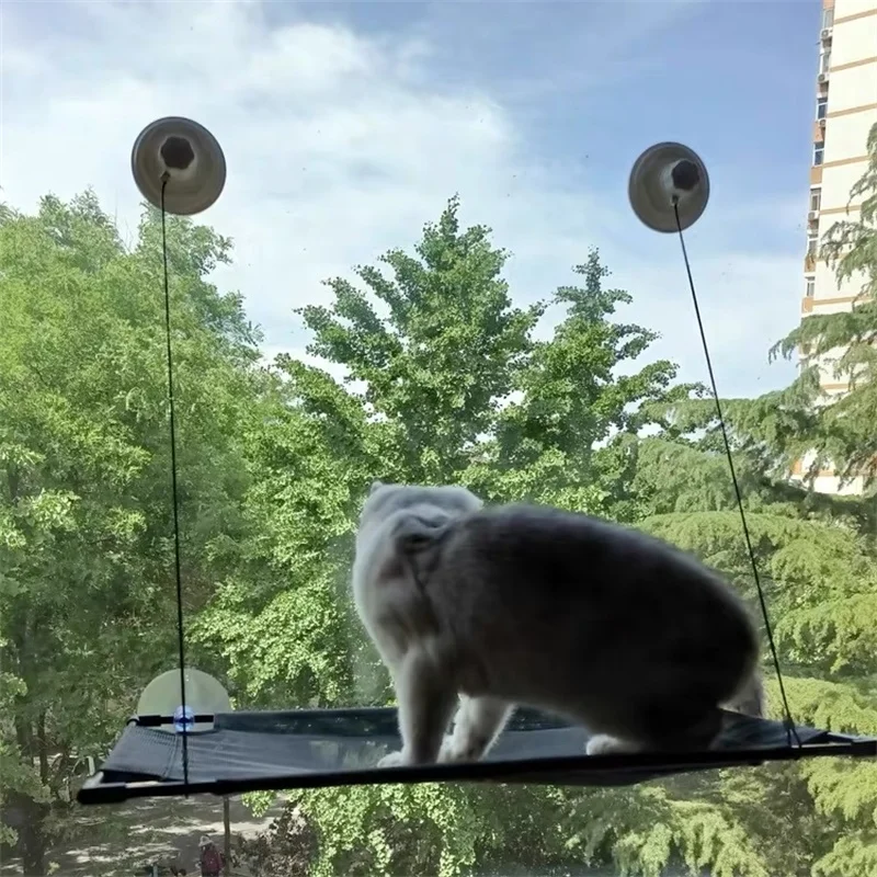 Cat Window Hammock Bed Hanging Swing for Cats Sleeping Nest Bed Pet Supplies Cats Hammock Jumping Bed for Cat Accessories Pet
Cat Window Hammock Bed Hanging Swing for Cats Sleeping Nest Bed Pet Supplies Cats Hammock Jumping Bed for Cat Accessories Pet