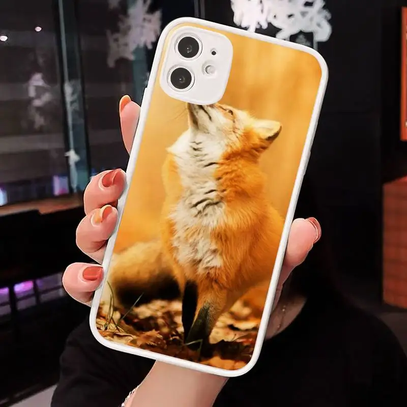 Autumn leaves fall fox pumpkin Halloween Phone Case Matte Transparent for iPhone 7 8 11 12 s mini pro X XS XR MAX Plus cover
Autumn leaves fall fox pumpkin Halloween Phone Case Matte Transparent for iPhone 7 8 11 12 s mini pro X XS XR MAX Plus cover