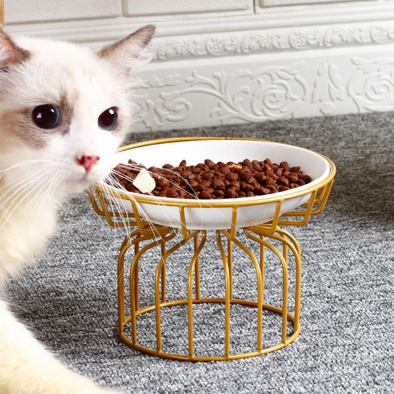 Fashion Ceramic Pet Bowl Hogh Foot Cat Food Feeding Dish Iron Raised Stand Kitten Dog Water Feeder Durable Pet Accessories
Fashion Ceramic Pet Bowl Hogh Foot Cat Food Feeding Dish Iron Raised Stand Kitten Dog Water Feeder Durable Pet Accessories