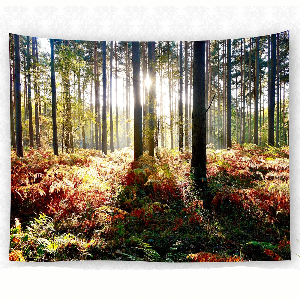 new hot sale 2018 wall cloth tapestries forest wholesale cheap luxury tapiz free drop shipping wall blanket
new hot sale 2018 wall cloth tapestries forest wholesale cheap luxury tapiz free drop shipping wall blanket