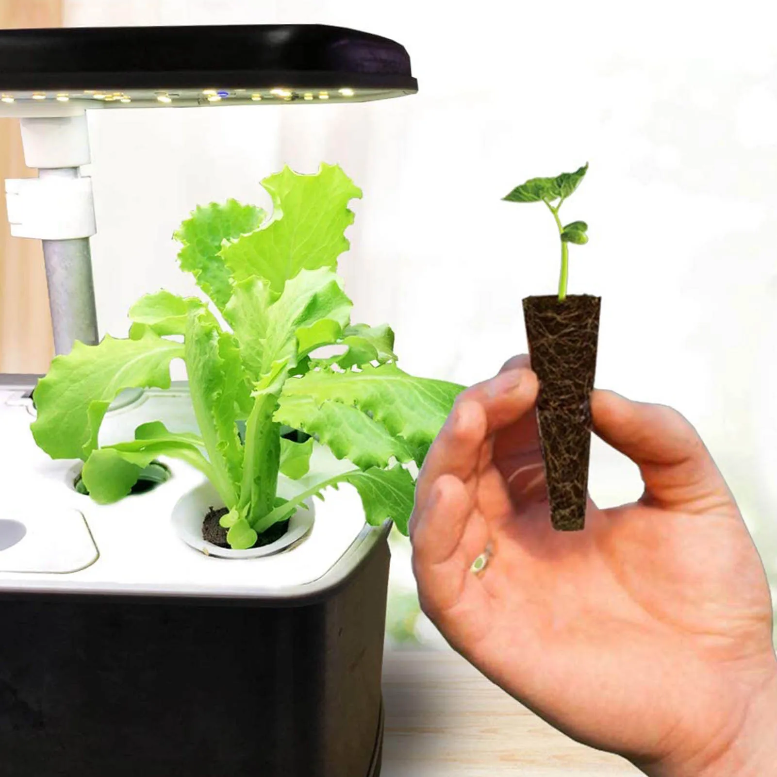 5pcs Planting Grow Sponge Seed Starter Pods Without Seeds Garden Planting Hydroponic Plug Soil Block Maker
5pcs Planting Grow Sponge Seed Starter Pods Without Seeds Garden Planting Hydroponic Plug Soil Block Maker