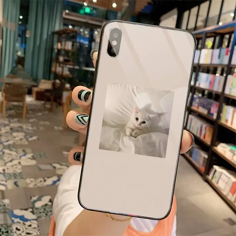 cat Pink Aesthetic cute aesthetic animal Phone Case Tempered glass For iphone 5C 6 6S 7 8 plus X XS XR 11 PRO MAX
cat Pink Aesthetic cute aesthetic animal Phone Case Tempered glass For iphone 5C 6 6S 7 8 plus X XS XR 11 PRO MAX