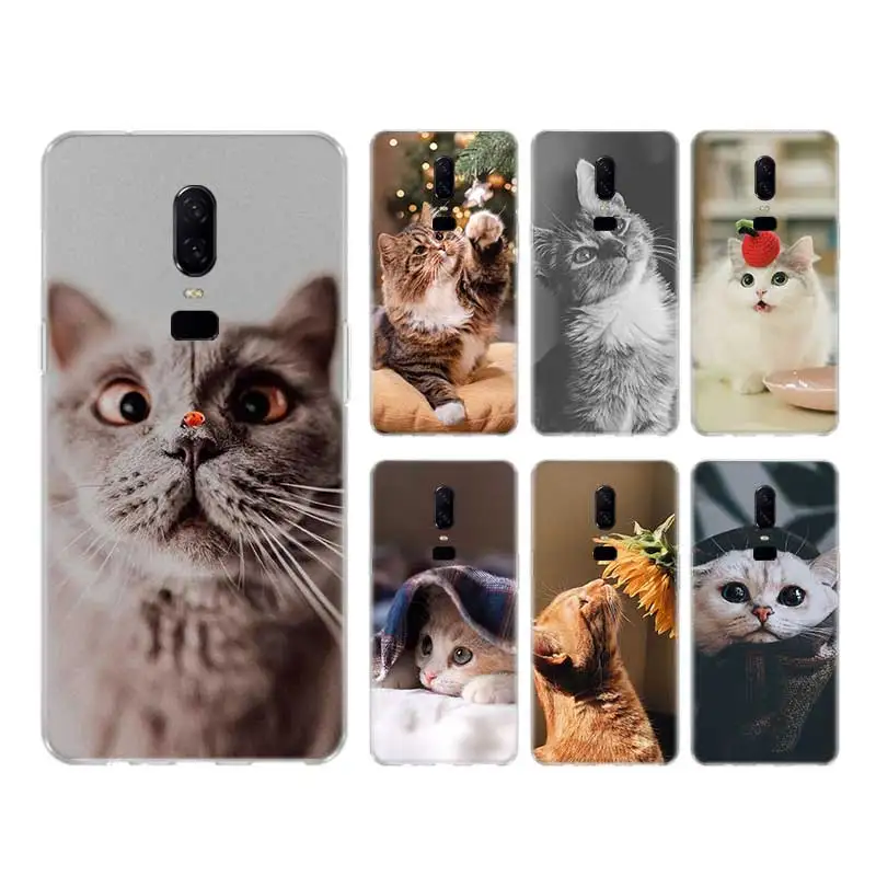 Cute Cat Animal Case For OnePlus 9 Pro 9R Nord Cover For OnePlus 1+ 8T 8 7T 7 Pro 6T 6 5T 5 3 3T Coque Shell
Cute Cat Animal Case For OnePlus 9 Pro 9R Nord Cover For OnePlus 1+ 8T 8 7T 7 Pro 6T 6 5T 5 3 3T Coque Shell