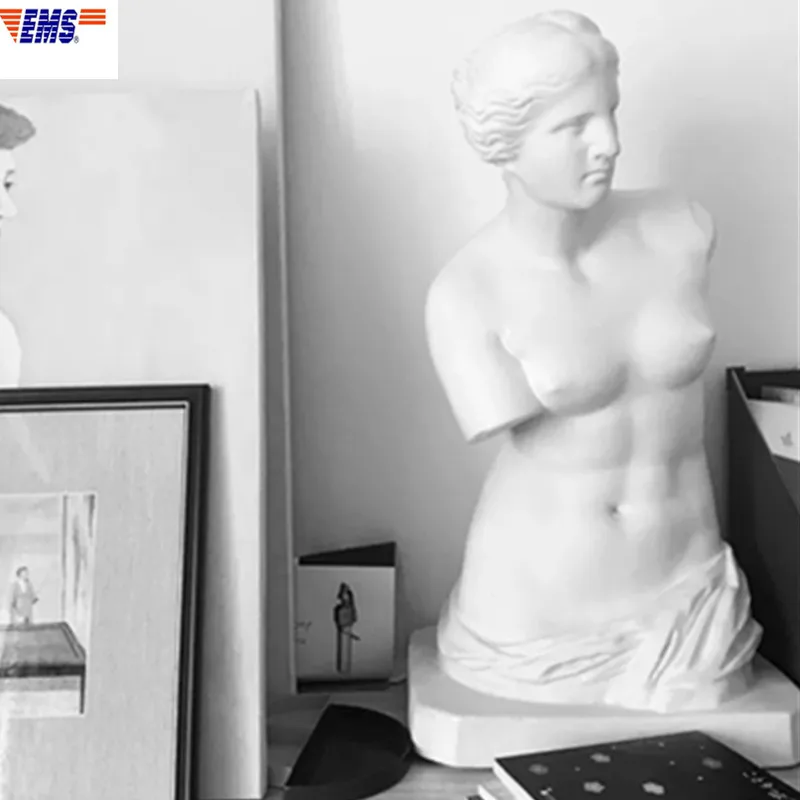 PLASTER STATUES BROKEN ARM VENUS HALF-LENGTH PORTRAIT SCULPTURE ROMAN MYTHOLOGY GODDESS CLOTHES SHOP ORNAMENTS X2757
PLASTER STATUES BROKEN ARM VENUS HALF-LENGTH PORTRAIT SCULPTURE ROMAN MYTHOLOGY GODDESS CLOTHES SHOP ORNAMENTS X2757