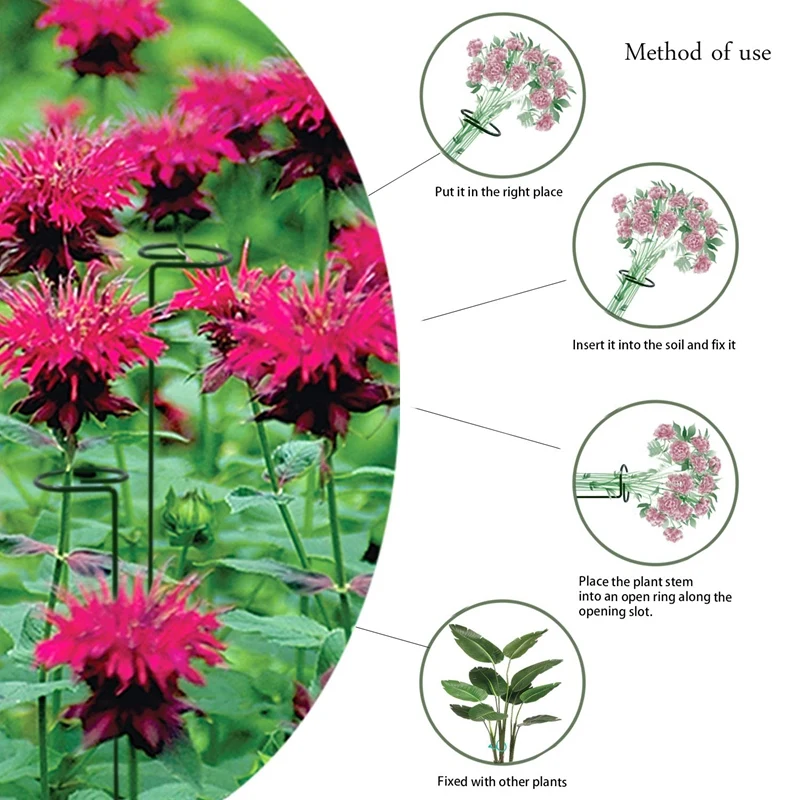 5 Pack Garden Plant Support Stakes Single Stem Support Stake Plant Cage Support Rings Flowers Stem Upright Plant Growing
5 Pack Garden Plant Support Stakes Single Stem Support Stake Plant Cage Support Rings Flowers Stem Upright Plant Growing