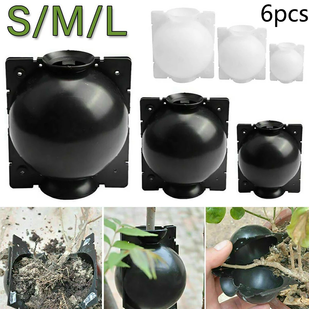 6pcs 5cm Botany Plant Rooting Root Device Pressure Propagation Ball Box Grafting Roses Climbers Fruit Trees Home Garden Supplies
6pcs 5cm Botany Plant Rooting Root Device Pressure Propagation Ball Box Grafting Roses Climbers Fruit Trees Home Garden Supplies