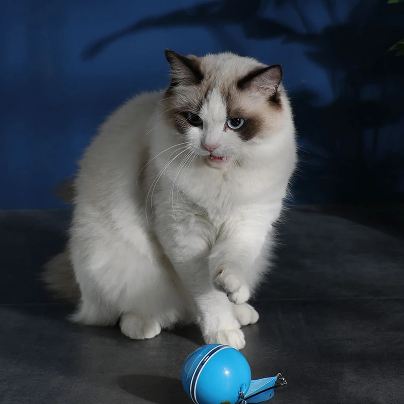 USB Smart Electric Cat Intelligent Toy Interactive Ball Toys LED Rotating Funny Training Playing Pet Supplies | Дом и сад
