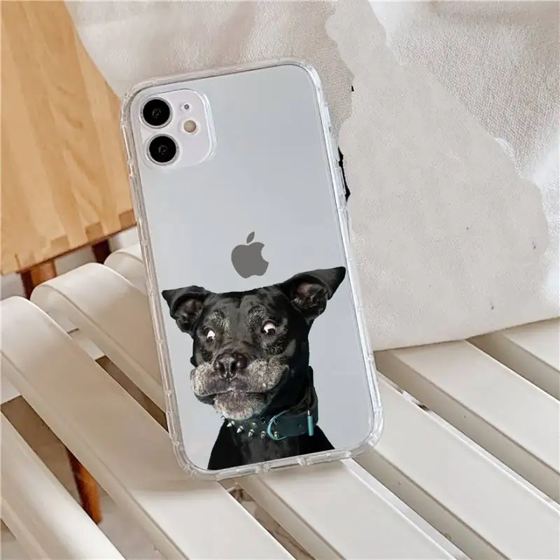 adorable animal Giraffe dog Phone Case Transparent for iPhone 11 12 mini pro XS MAX 8 7 6 6S Plus X 5S SE 2020 XR 
adorable animal Giraffe dog Phone Case Transparent for iPhone 11 12 mini pro XS MAX 8 7 6 6S Plus X 5S SE 2020 XR