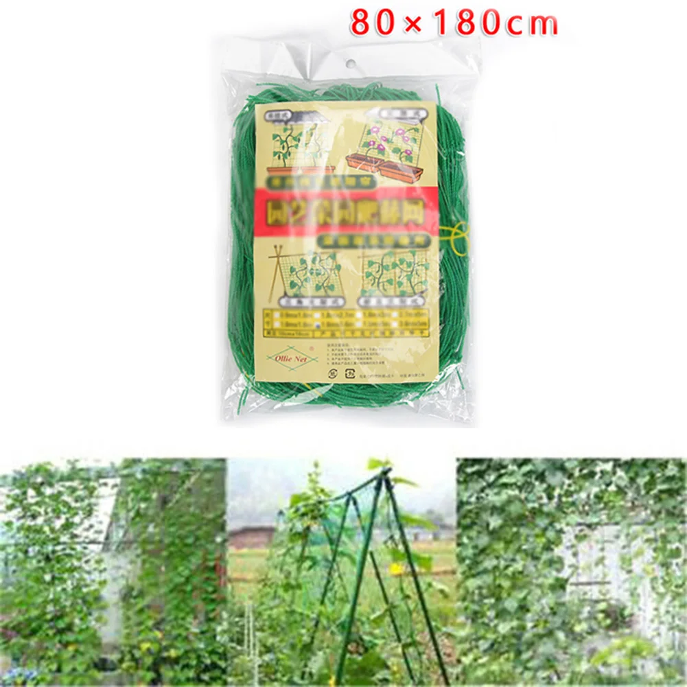 Garden Plant Trellis Netting Heavy Duty Mesh Vine Landing Garden Weaving Grow Frame Vegetable Flower Cucumber Climbing Net Hot !
Garden Plant Trellis Netting Heavy Duty Mesh Vine Landing Garden Weaving Grow Frame Vegetable Flower Cucumber Climbing Net Hot !