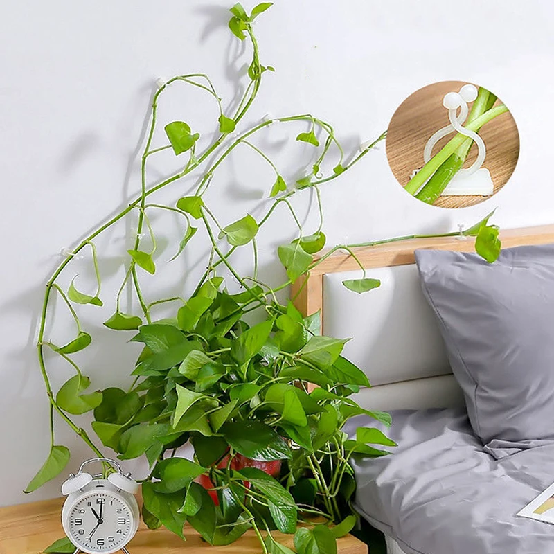 10pcs/lot Invisible Wall Rattan Clamp Clip Plant Climbing Wall Clip Wall Vines Fixture Wall Sticky Hook Holder
10pcs/lot Invisible Wall Rattan Clamp Clip Plant Climbing Wall Clip Wall Vines Fixture Wall Sticky Hook Holder