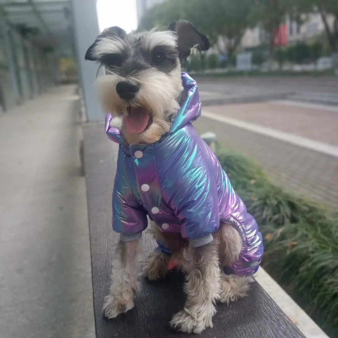 Dog Clothes Symphony Windproof Velvet Warm Pet Winter Pet Down Jacket New Dog Coat Cat Clothes
Dog Clothes Symphony Windproof Velvet Warm Pet Winter Pet Down Jacket New Dog Coat Cat Clothes