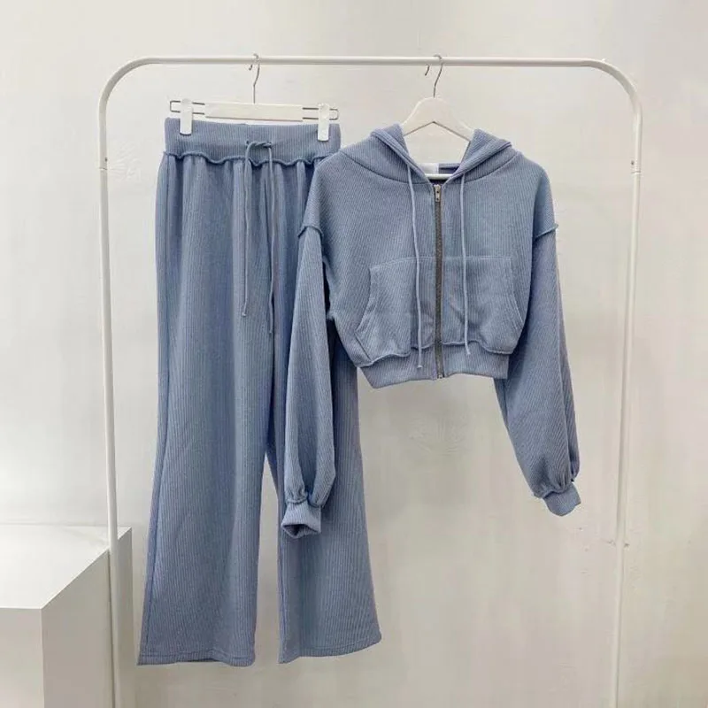 Women Hoodie Two Piece Set 2021 Spring Fleece Solid Long Sleeve Sweatshirts Top And Long Pants Blue Tracksuit Female Sport Suits
Women Hoodie Two Piece Set 2021 Spring Fleece Solid Long Sleeve Sweatshirts Top And Long Pants Blue Tracksuit Female Sport Suits